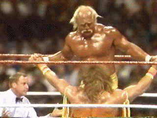 tumblr_n3ii785IFJ1tu7965o1_400.gif