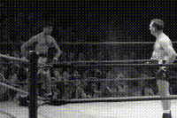 200w.gif