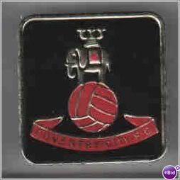 essofoilbadge.jpg