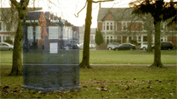 giphy.gif