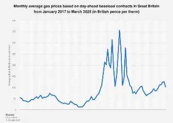 www.statista.com