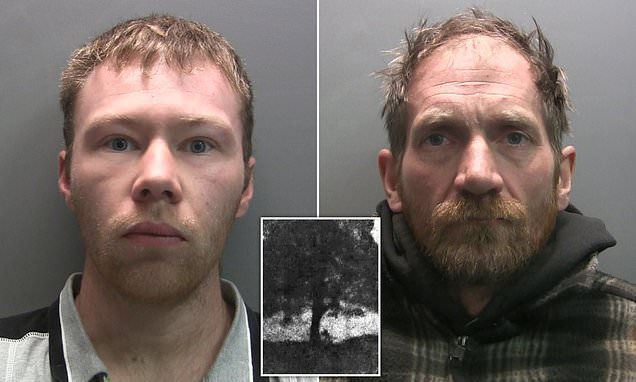 www.dailymail.co.uk