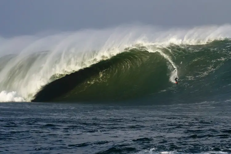 www.surfertoday.com