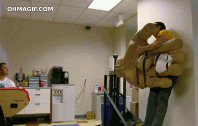 giphy.gif