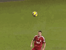 tenor.gif