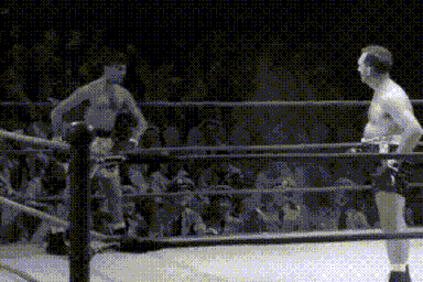 boxer_zps5c53832a.gif