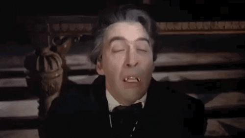 giphy.gif