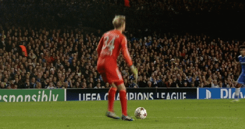 giphy.gif