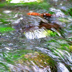 water_stream___rocks_anim_gif_by_animanon-d2zh44h.gif
