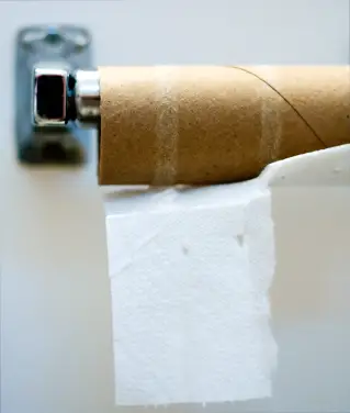 toilet-paper-roll.jpg