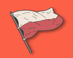 World Cup Flag GIF by Homme Jaune World Cup Flag GIF by Homme Jaune
