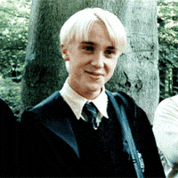 draco malfoy GIF draco malfoy GIF