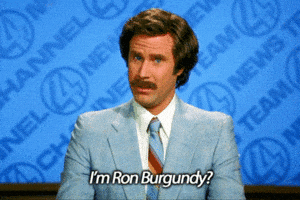 steve carell GIF steve carell GIF