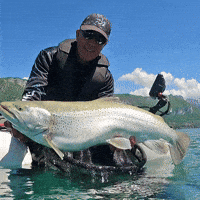 Big Fish GIF by Amiaud Big Fish GIF by Amiaud