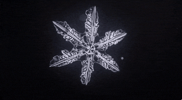snowflake microscope GIF snowflake microscope GIF