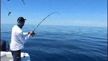 Wherethemapturnsblue GIF by SORD Fishing Products Wherethemapturnsblue GIF by SORD Fishing Products