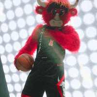 Benny The Bull Sport GIF by Chicago Bulls Benny The Bull Sport GIF by Chicago Bulls