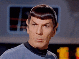 Star Trek What GIF Star Trek What GIF