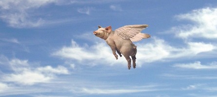 pig-flying-look-flying-pigs-51794-e1315601783379.jpg